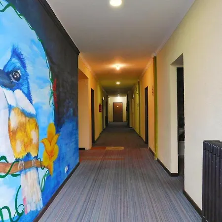 Hostel Arrayan-3